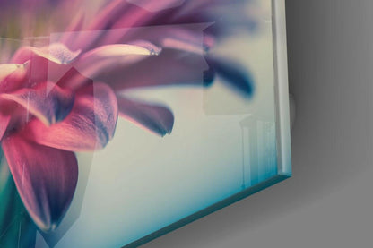 Dreamy Pink Gerbera Glass Wall Art