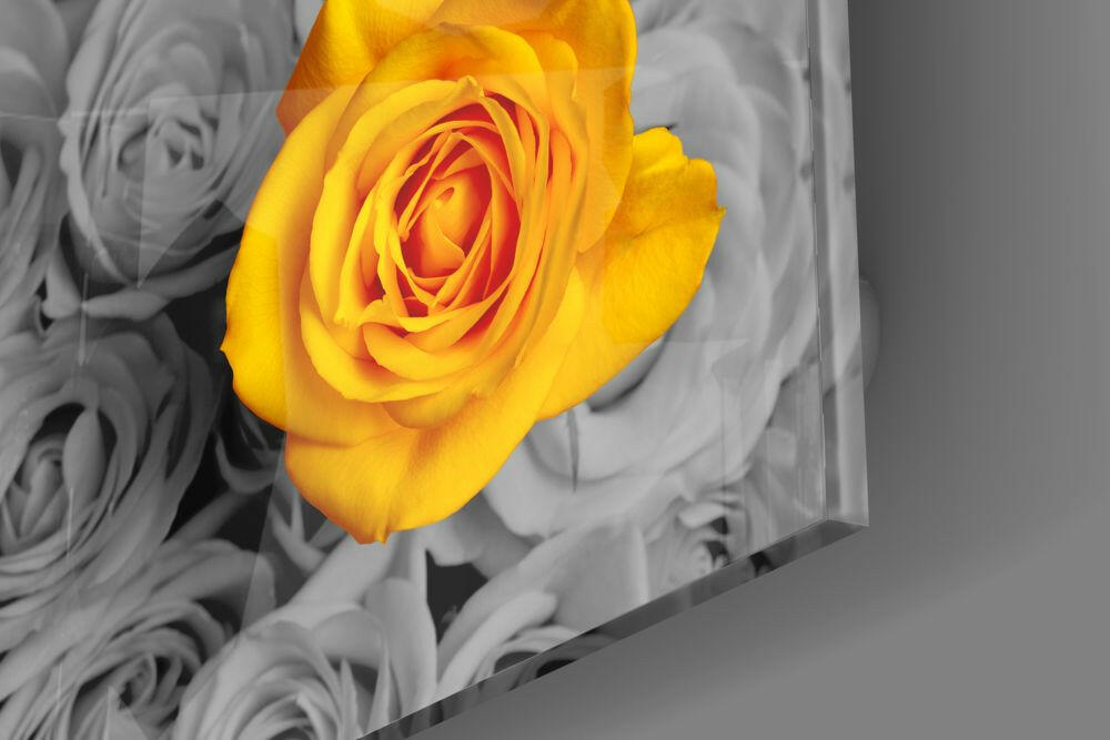 Yellow Rose Gray Bouquet Glass Wall Art