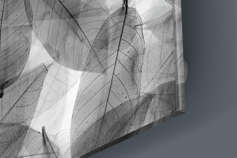 Translucent glass panel with overlapping skeletal leaf designs backlit against a gray wall, showing detailed vein patterns in black and white.