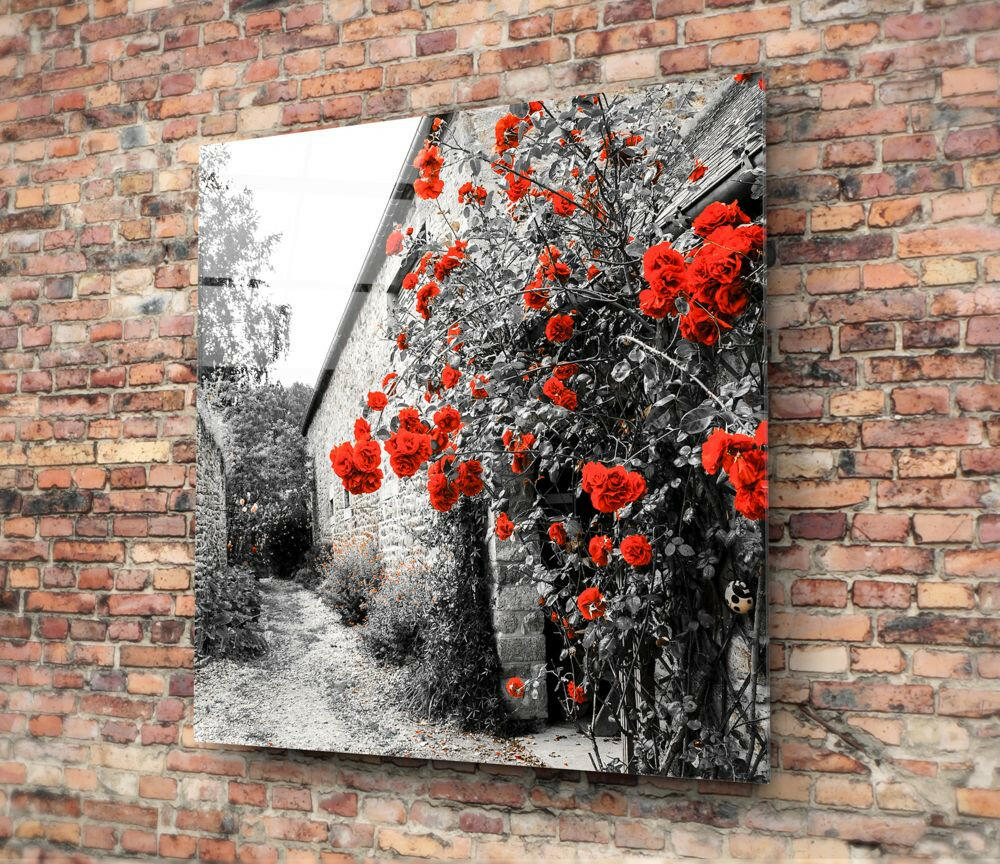 Glass wall art mounted on brick showing red roses climbing a stone archway in black and white with color splash effect.
