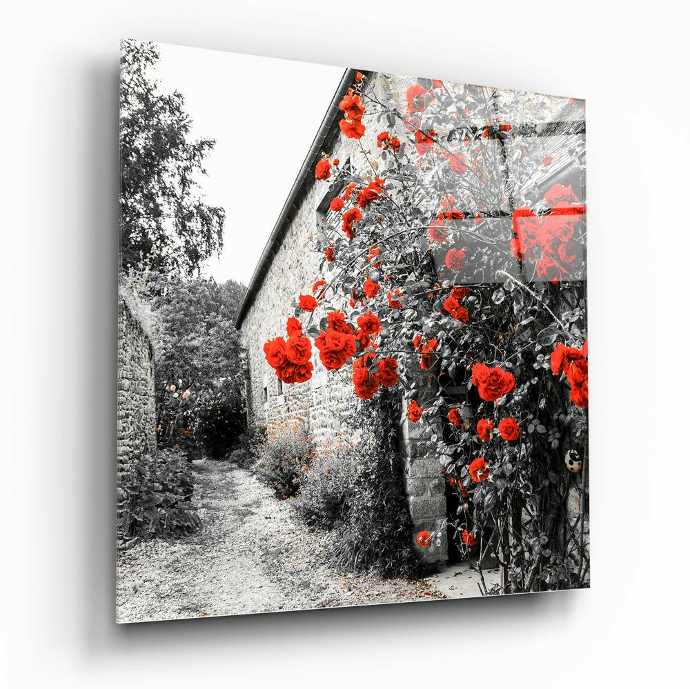 Red roses climb a stone cottage wall along a graveled garden path in this black and white photograph with selective color.