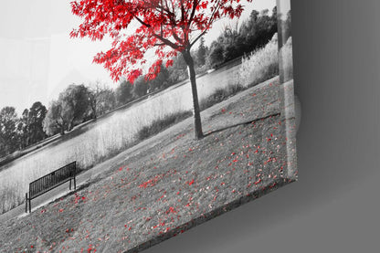Red Tree Lakeside Bench Glass Wall Art