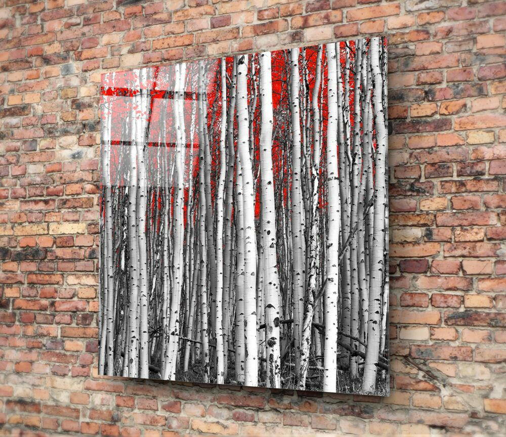 Square White Birch Trunks Red Leaves Glass Wall Art