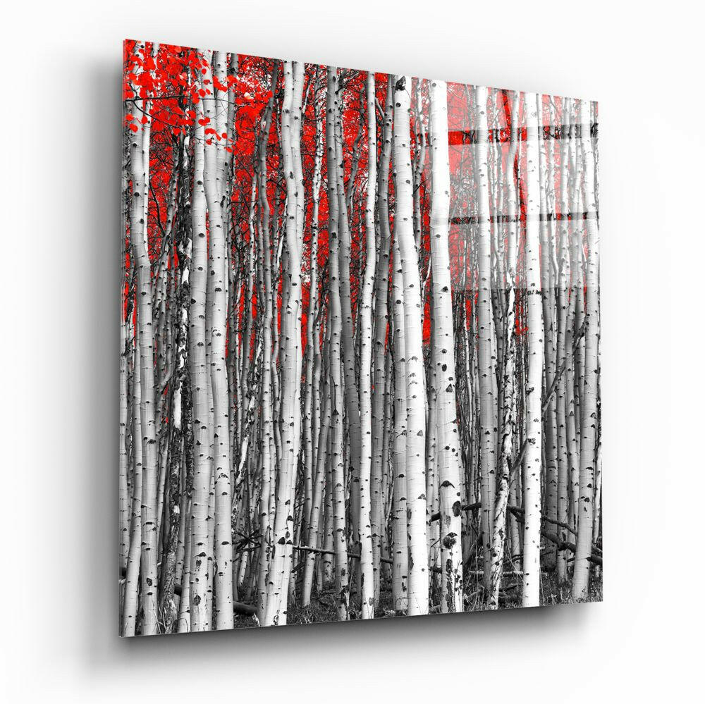 Square White Birch Trunks Red Leaves Glass Wall Art