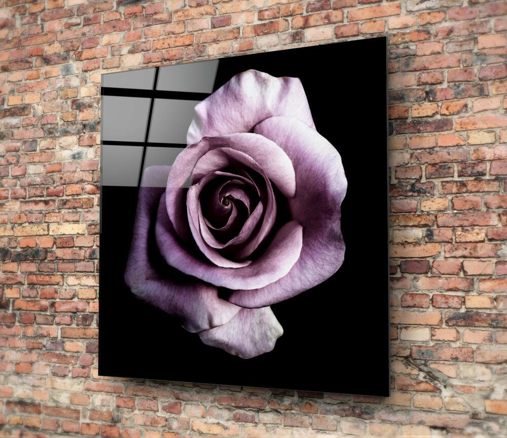 Single Lilac Rose On Black Glass Wall Art