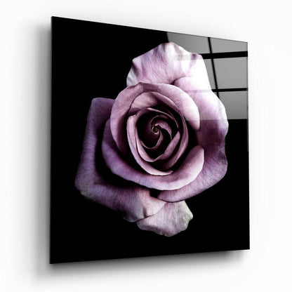 Single Lilac Rose On Black Glass Wall Art
