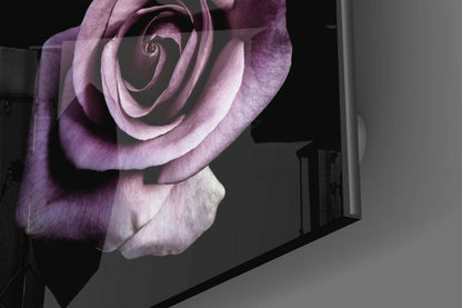 Single Lilac Rose On Black Glass Wall Art