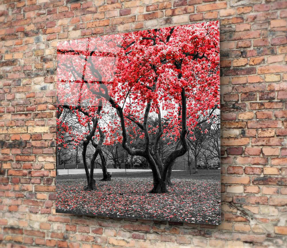 Red Blossom Park Grove Glass Wall Art