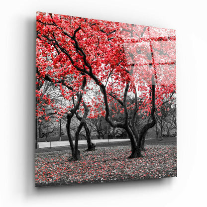 Red Blossom Park Grove Glass Wall Art
