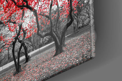 Red Blossom Park Grove Glass Wall Art