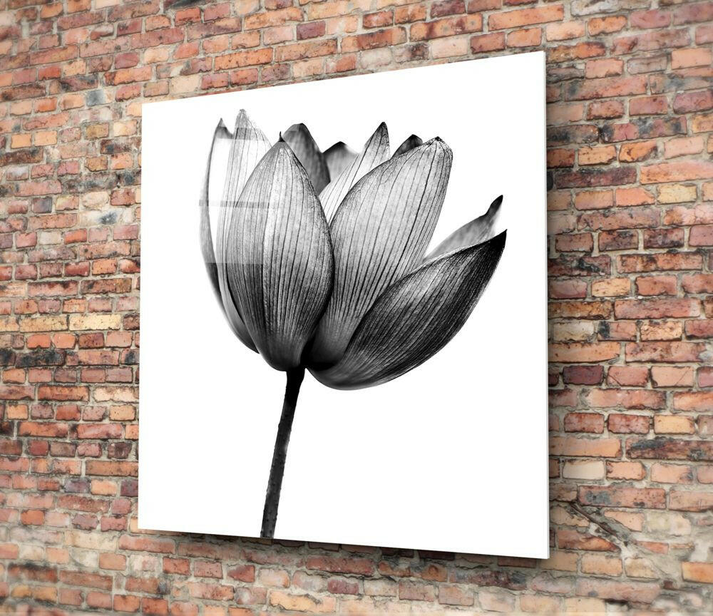 Translucent Gray Tulip Glass Wall Art
