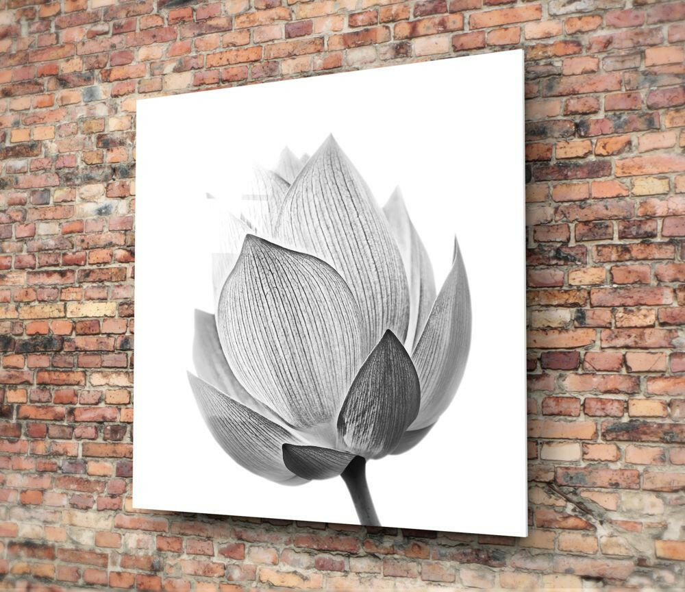 Silver Lotus Blossom Glass Wall Art