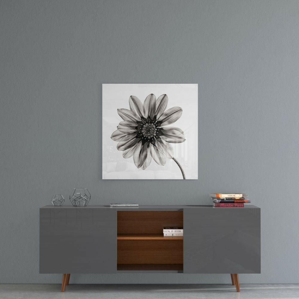 Backlit Monochrome Daisy Glass Wall Art