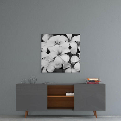 White Frangipani Blooms Monochrome Glass Wall Art