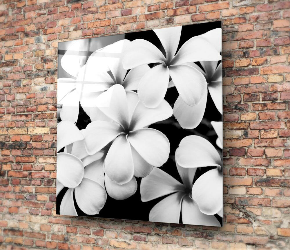 White Frangipani Blooms Monochrome Glass Wall Art