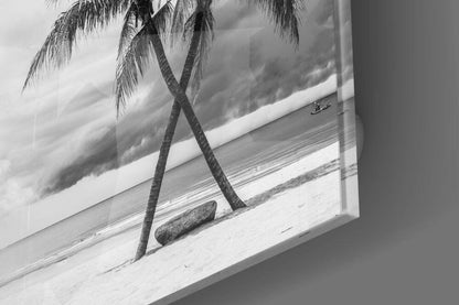 Crossed Trunks Monochrome Palm Trees Glass Wall Art