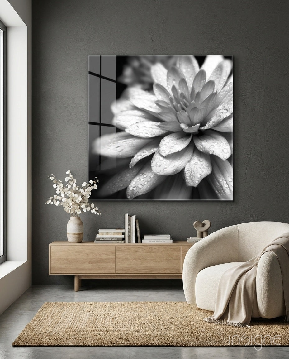 Dewy Monochrome Dahlia Glass Wall Art