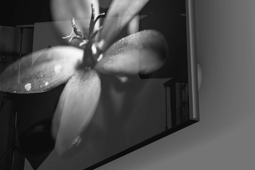 Dark Backlit Dewdrop Bloom Glass Wall Art
