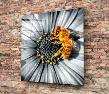 Bee Glass Wall Art mounted on brick wall showing golden bee on flower with selective color effect and radial blur background.