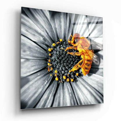 A bee covered in yellow pollen rests on a white flower with black center, displayed on glass with selective color and motion blur effect.