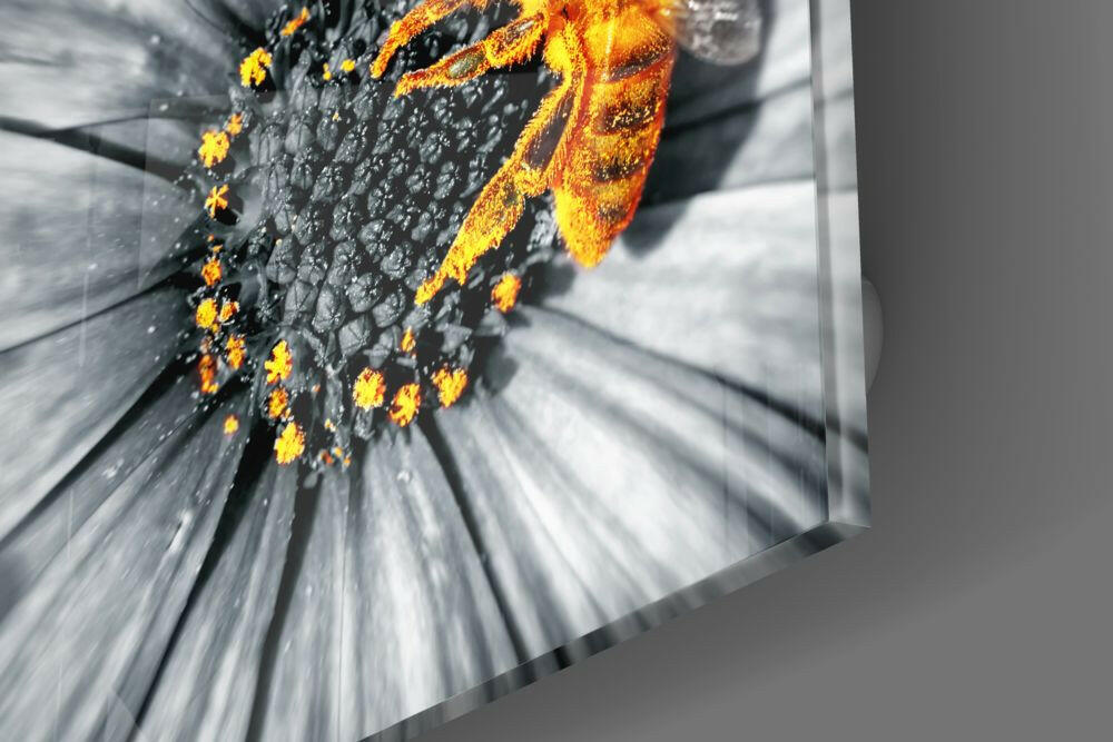Close-up detail of glass wall art showing golden bee with black textured background and radiating light effects.