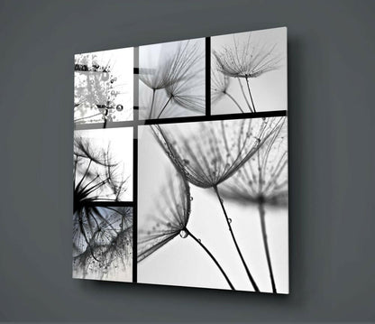 Monochrome Dandelion Collage Glass Wall Art