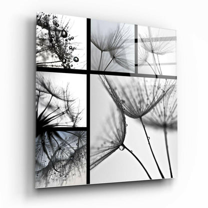 Monochrome Dandelion Collage Glass Wall Art