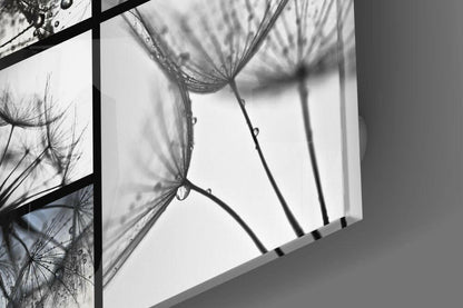 Monochrome Dandelion Collage Glass Wall Art