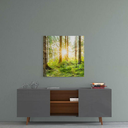 Sunburst Green Forest Moss Glass Wall Art