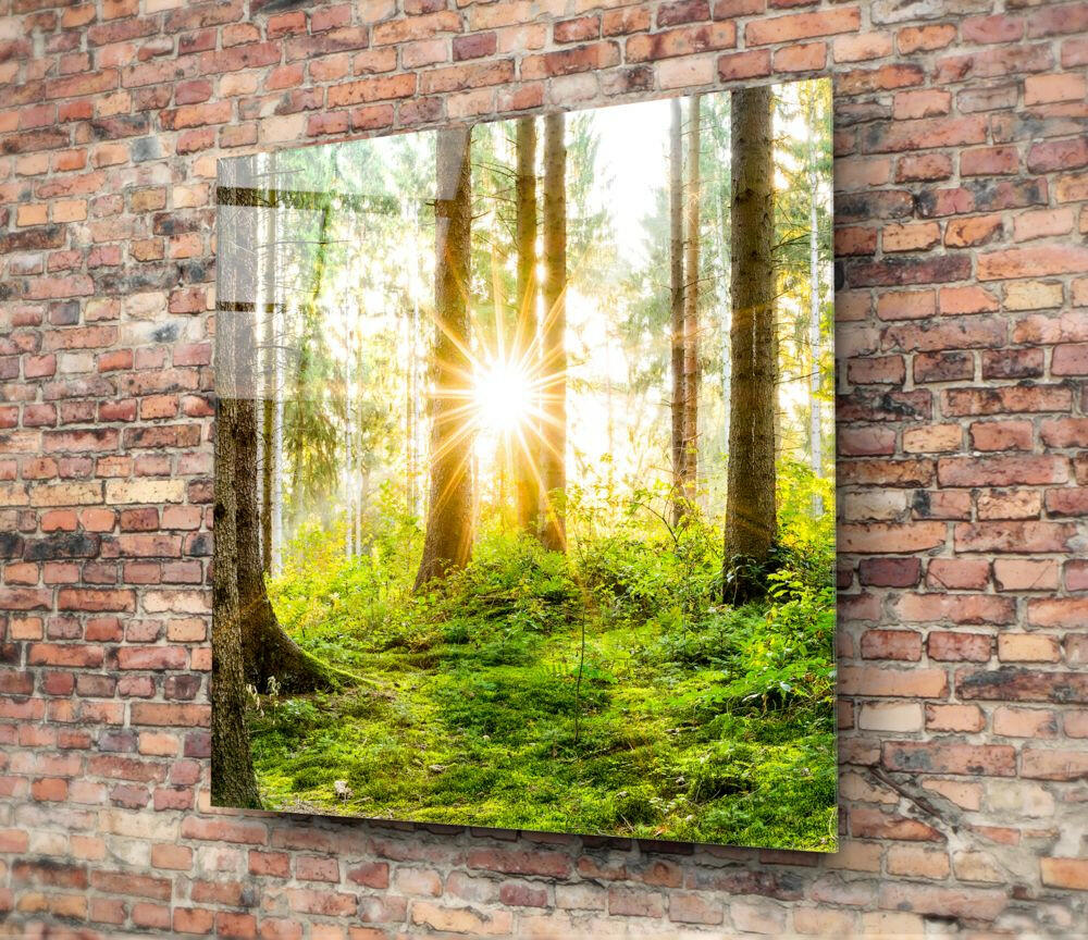 Sunburst Green Forest Moss Glass Wall Art