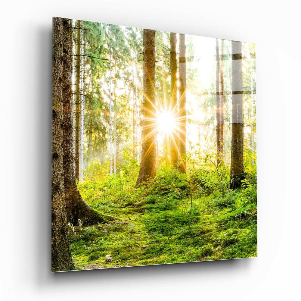 Sunburst Green Forest Moss Glass Wall Art
