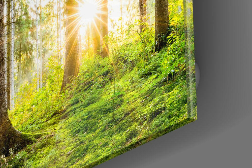 Sunburst Green Forest Moss Glass Wall Art