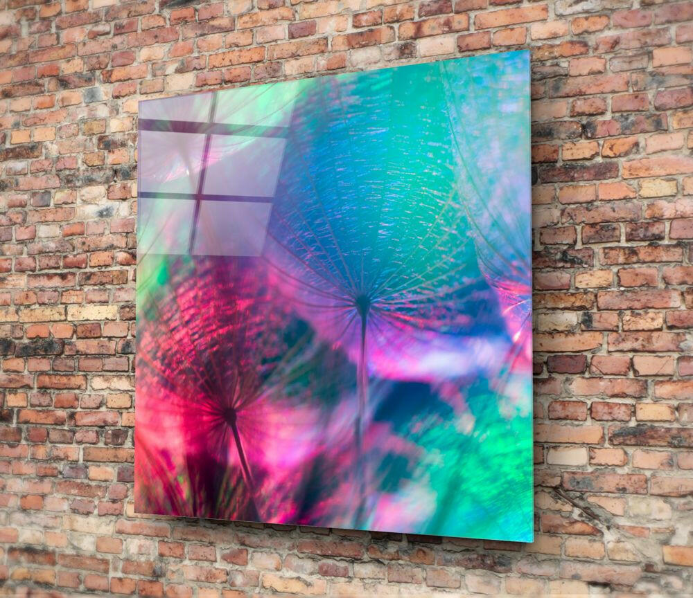 Rainbow Dandelion Seed Abstract Glass Wall Art