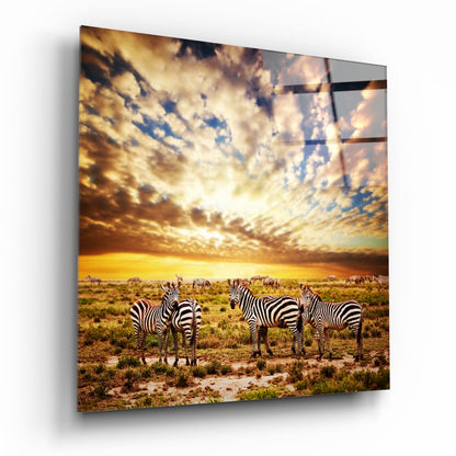 Sunset Cloudscape Zebra Herd Glass Wall Art