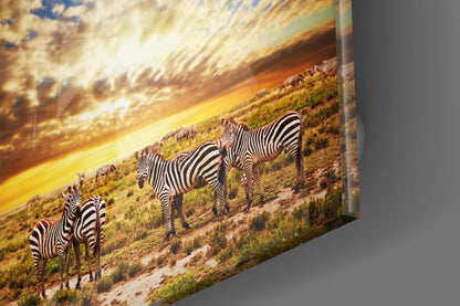Sunset Cloudscape Zebra Herd Glass Wall Art