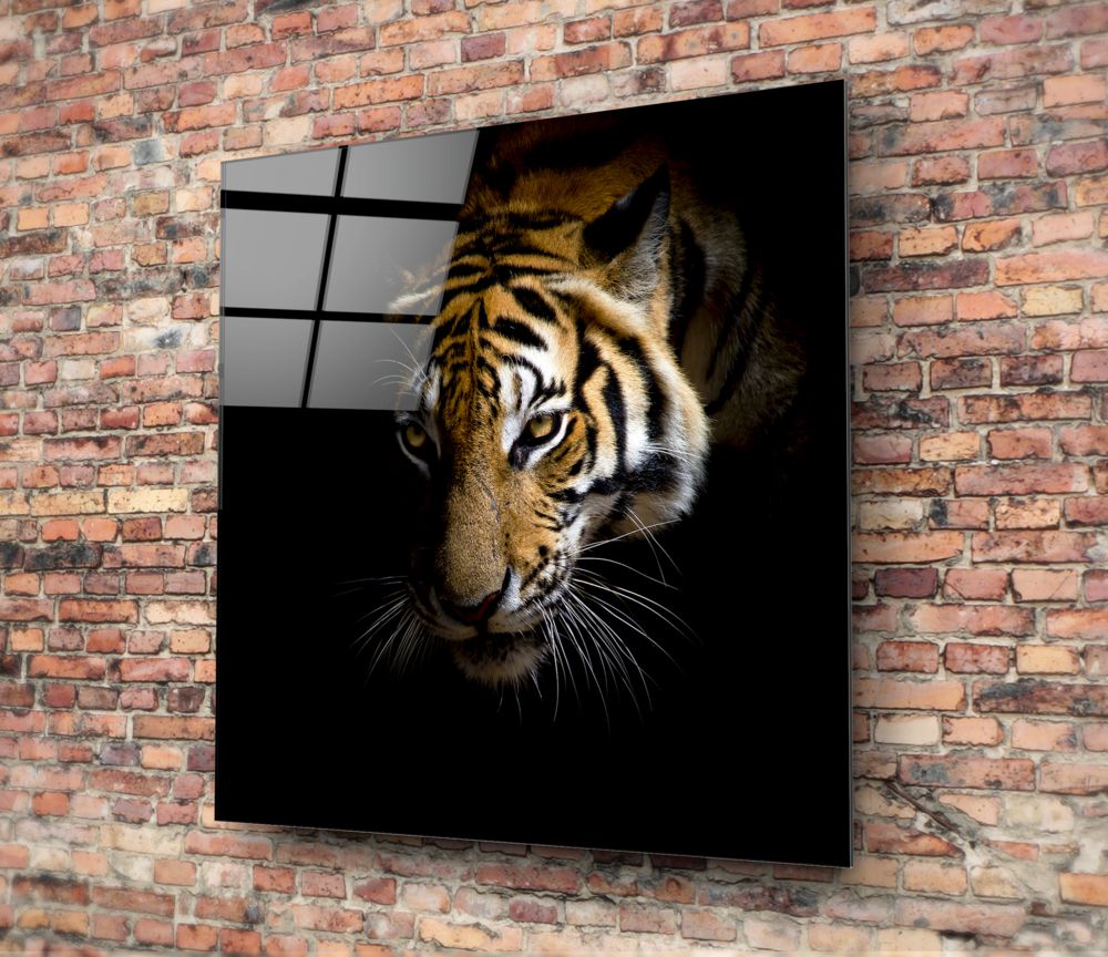 Golden Tiger Dark Backdrop Glass Wall Art