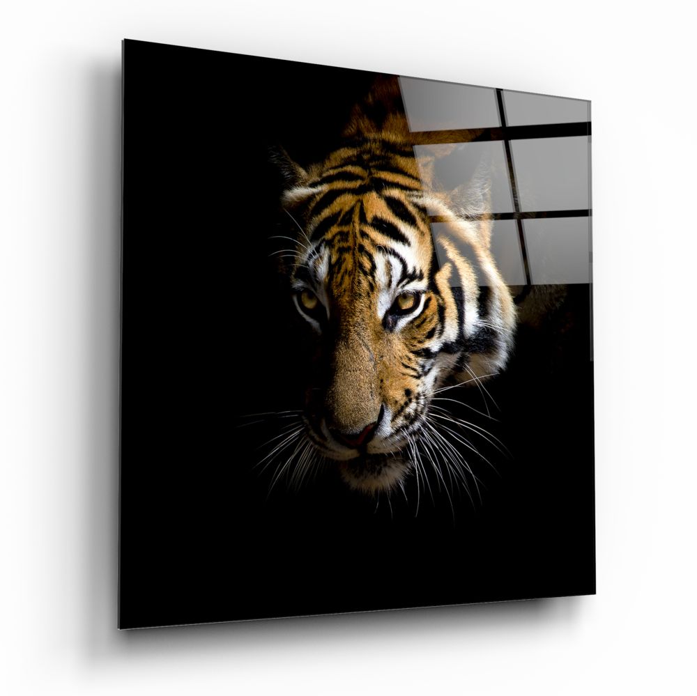 Golden Tiger Dark Backdrop Glass Wall Art