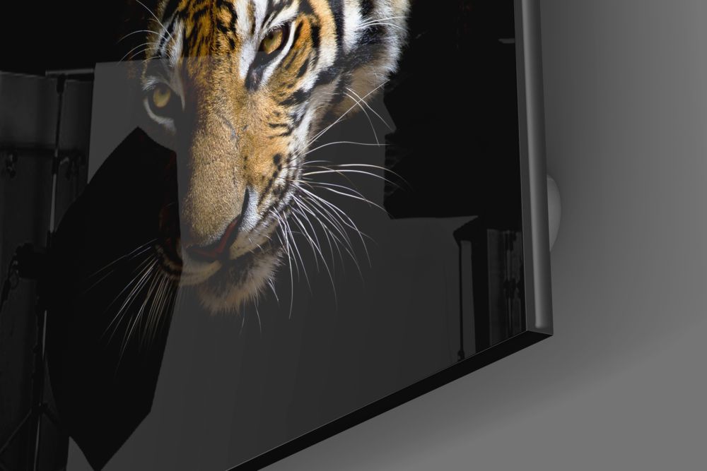 Golden Tiger Dark Backdrop Glass Wall Art