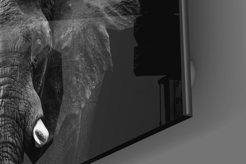 Split Light and Shadow Elephant Glass Wall Art