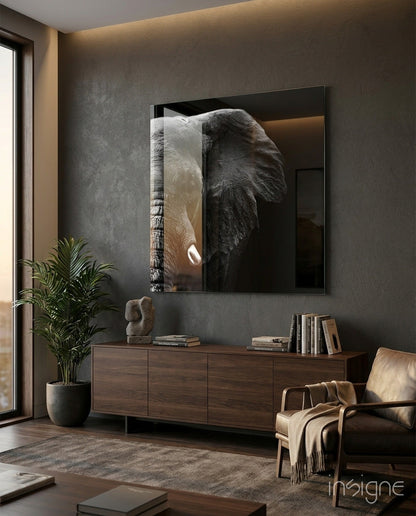Split Light and Shadow Elephant Glass Wall Art