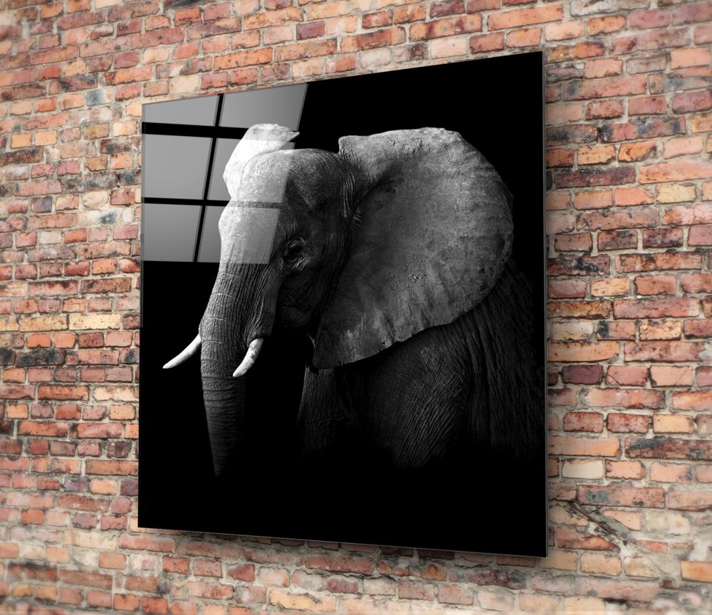 Moody Black and White Elephant Glass Wall Art