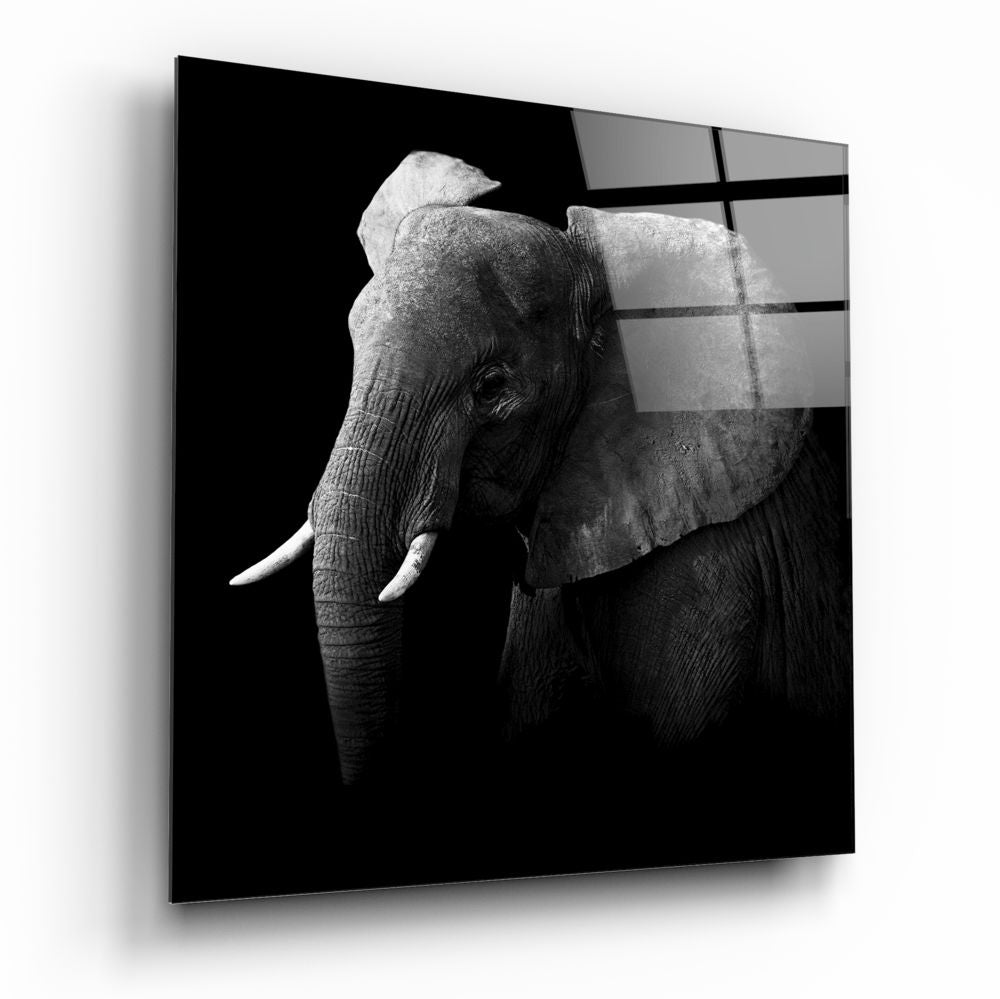 Moody Black and White Elephant Glass Wall Art