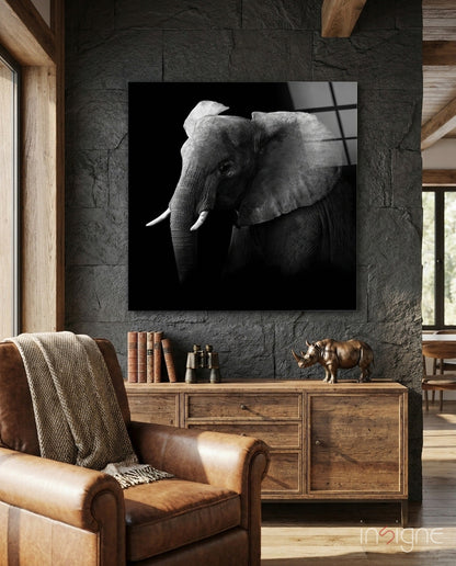 Moody Black and White Elephant Glass Wall Art