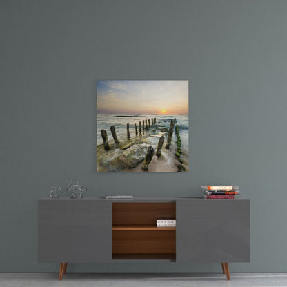 Mossy Sea Groynes Dock Glass Wall Art