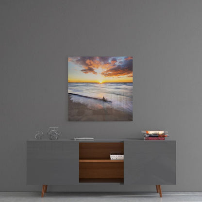 Sunlit Driftwood Shore Glass Wall Art
