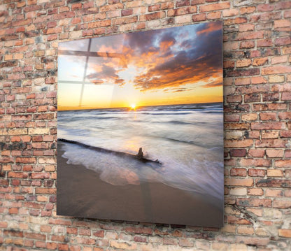 Sunlit Driftwood Shore Glass Wall Art