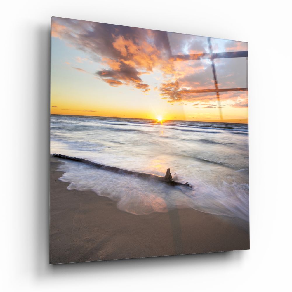 Sunlit Driftwood Shore Glass Wall Art