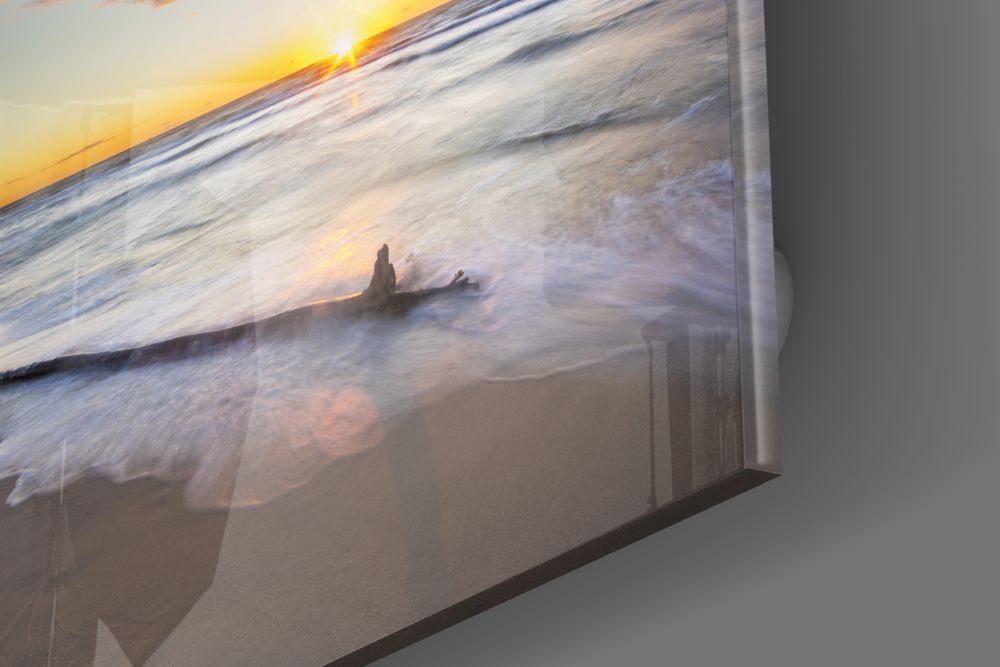 Sunlit Driftwood Shore Glass Wall Art