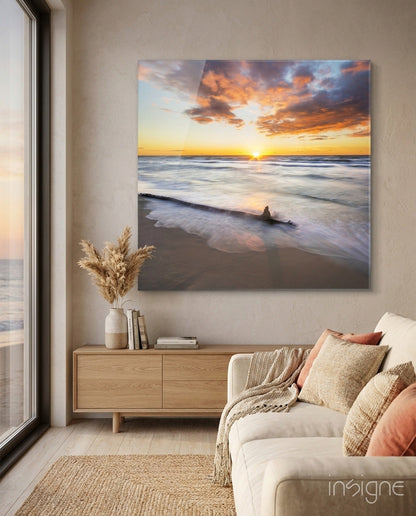 Sunlit Driftwood Shore Glass Wall Art