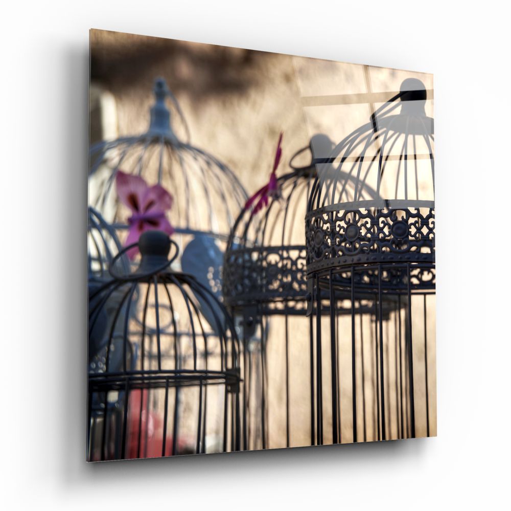 Three decorative black birdcages with purple flowers casting geometric shadows on beige wall background.